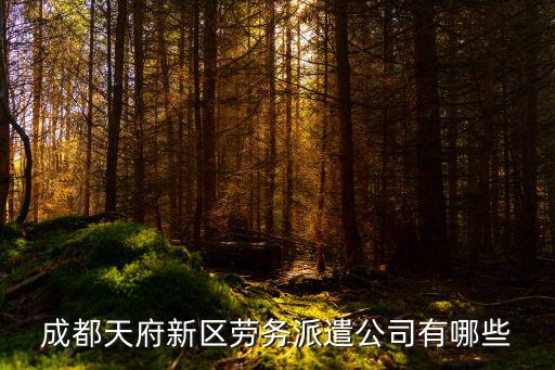 成都天府新區勞務派遣公司有哪些