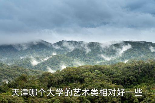 天津哪個大學的藝術類相對好一些
