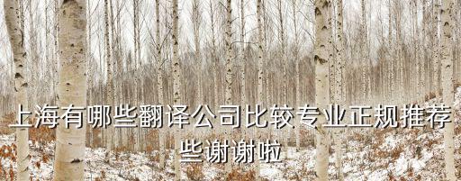 上海有哪些翻譯公司比較專業(yè)正規(guī)推薦些謝謝啦