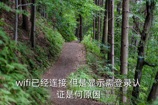 網(wǎng)絡(luò)登錄認證，wifi已經(jīng)連接 但是顯示需登錄認證是何原因