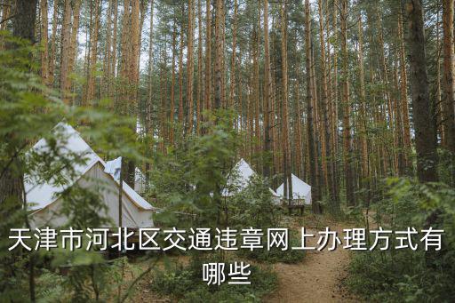 天津市河北區(qū)交通管理，天津市河北區(qū)違章停車向誰(shuí)舉報(bào)