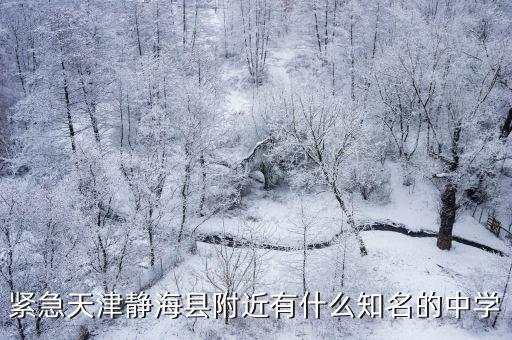 天津市靜海區(qū)初中校，緊急天津靜海縣附近有什么知名的中學(xué)