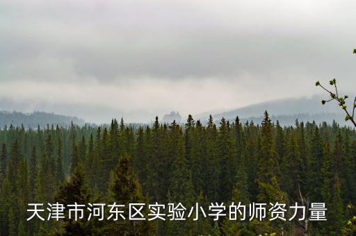 天津市河東區實驗小學的師資力量