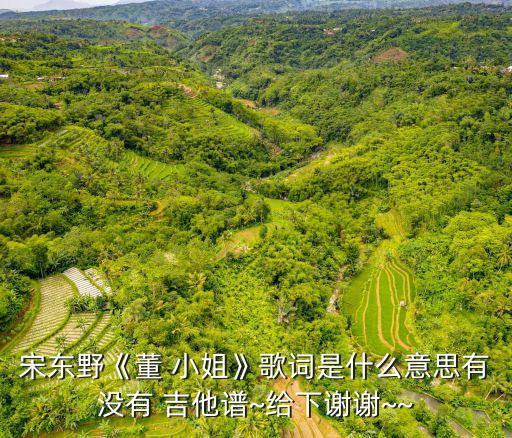宋東野《董 小姐》歌詞是什么意思有沒有 吉他譜~給下謝謝~~