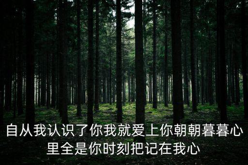 自從我認(rèn)識(shí)了你我就愛上你朝朝暮暮心里全是你時(shí)刻把記在我心