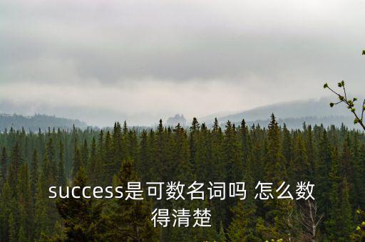 success是可數(shù)名詞嗎 怎么數(shù)得清楚