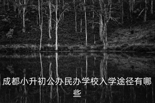 成都市小升初民辦報名流程，成都小升初公辦民辦學(xué)校入學(xué)途徑有哪些