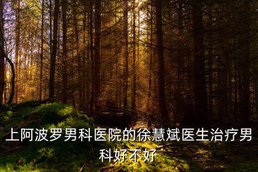 上阿波羅男科醫院的徐慧斌醫生治療男科好不好