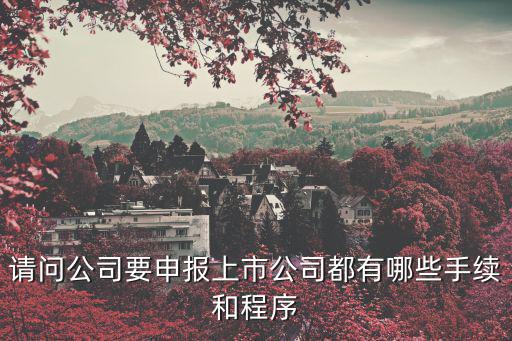 天津市企業上市辦，2020公司上市有什么流程