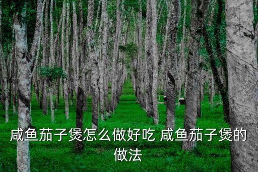 咸魚(yú)茄子煲的做法，咸魚(yú)茄子煲怎么做好吃 咸魚(yú)茄子煲的做法