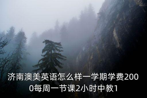 天華英澳美國際高中學費，濟南澳美英語怎么樣一學期學費2000每周一節課2小時中教1