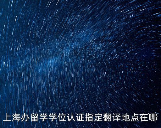 上海政府認證的翻譯機構，上海翻譯公司具體有哪些口碑好的是哪家