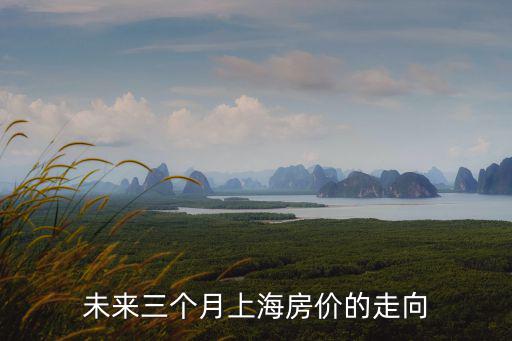 未來三個月上海房價的走向