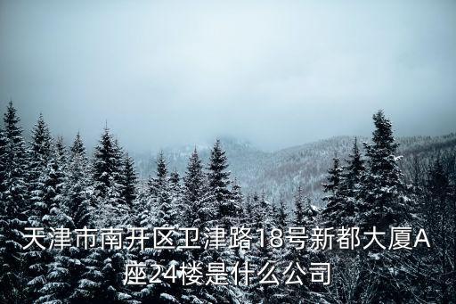 天津市中電系統有限公司，天津市南開區衛津路18號新都大廈A座24樓是什么公司