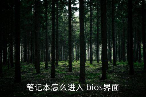 怎么進(jìn)bios,如何訪問win7到bios?