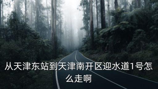 從天津東站到天津南開區迎水道1號怎么走啊