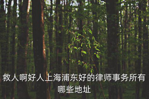 救人啊好人上海浦東好的律師事務所有哪些地址