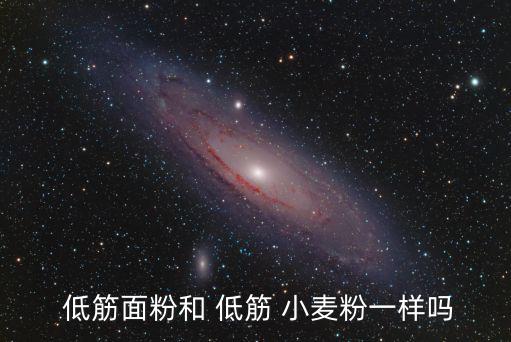  低筋面粉和 低筋 小麥粉一樣嗎