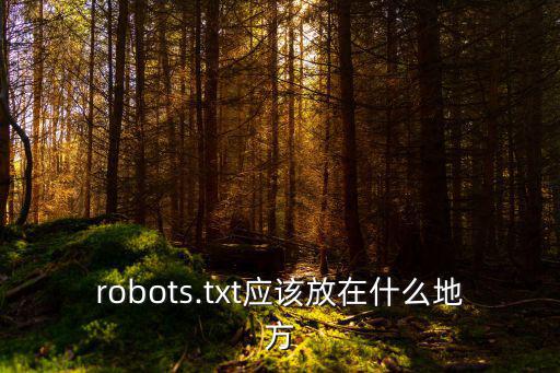 robots.txt應該放在什么地方