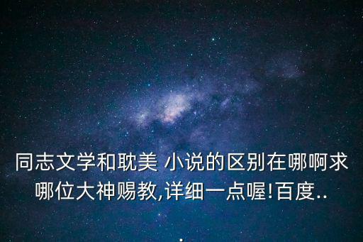 基佬小說,重點關(guān)注其他類別的同志小說