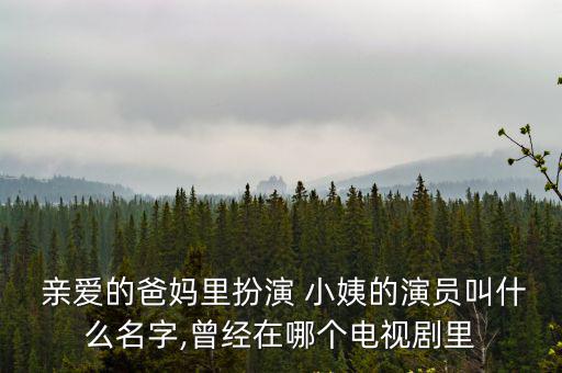  親愛的爸媽里扮演 小姨的演員叫什么名字,曾經在哪個電視劇里