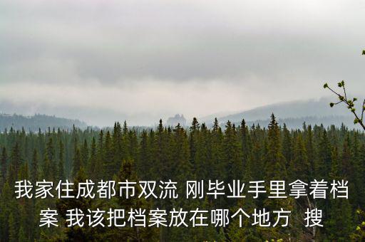我家住成都市雙流 剛畢業(yè)手里拿著檔案 我該把檔案放在哪個(gè)地方  搜