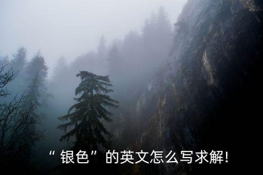 銀色的英語(yǔ),美國(guó)選舉投票日投票結(jié)果:拜登暫時(shí)領(lǐng)先