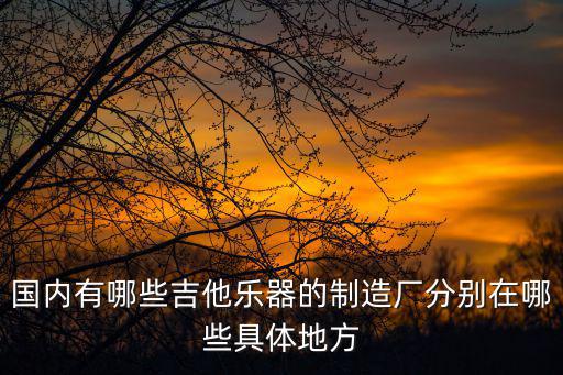 國內(nèi)有哪些吉他樂器的制造廠分別在哪些具體地方
