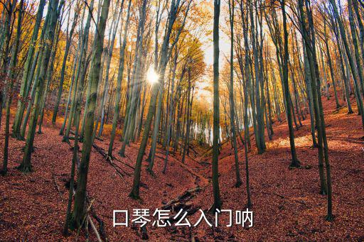 口琴怎么入門吶
