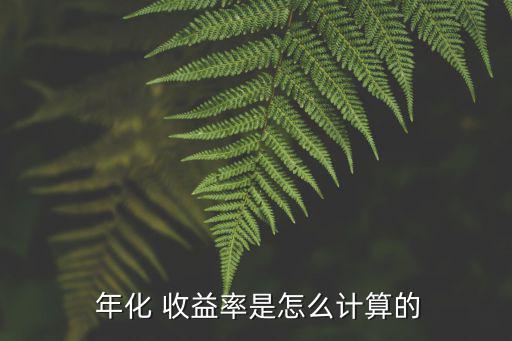 年化收益率怎么算,理財在線｜羅清全】投資回報率如何計算?
