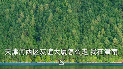 友誼路在天津市津南區去的哪個方向，天津友誼路在哪里
