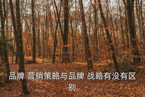 品牌 營銷策略與品牌 戰略有沒有區別