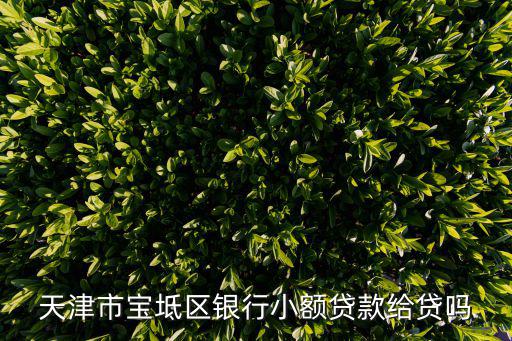 天津市辦理小額貸款業務，天津市寶坻區銀行小額貸款給貸嗎