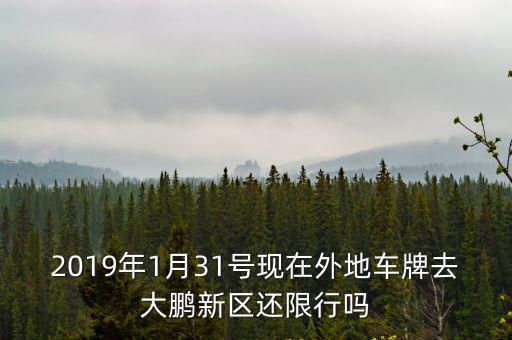 2019年1月31號現在外地車牌去大鵬新區還限行嗎