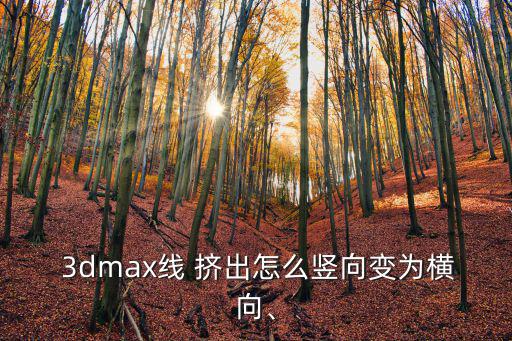  3dmax線 擠出怎么豎向變?yōu)闄M向、