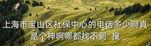 上海市寶山區社保中心的電話多少啊真是個神啊哪都找不到  搜