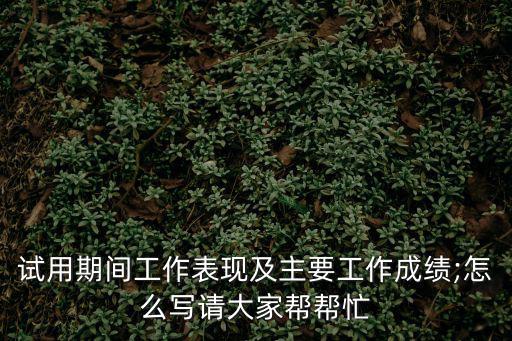 試用期間工作表現及主要工作成績;怎么寫請大家幫幫忙