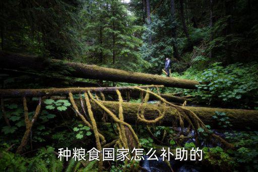 種糧補(bǔ)貼,農(nóng)業(yè)機(jī)械補(bǔ)貼政策:全國(guó)所有農(nóng)業(yè)縣實(shí)行