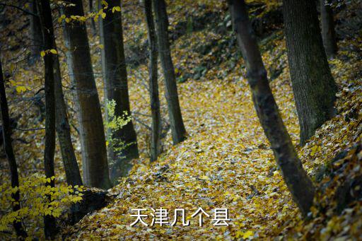天津幾個縣