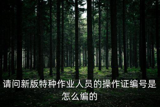 請問新版特種作業(yè)人員的操作證編號是怎么編的