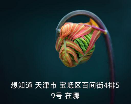 想知道 天津市 寶坻區(qū)百間街4排59號 在哪