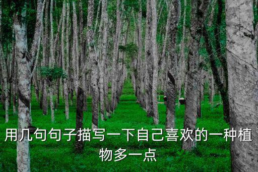 我喜歡的一種植物，用幾句句子描寫一下自己喜歡的一種植物多一點