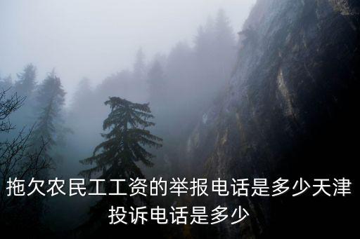 拖欠農民工工資的舉報電話是多少天津投訴電話是多少