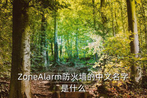 ZoneAlarm防火墻的中文名字是什么