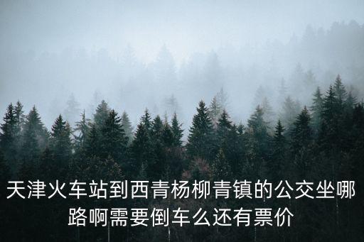天津市武清區(qū)楊柳青，天津市武清區(qū)除了楊村和楊柳青哪還有玩的拜托很急請告訴