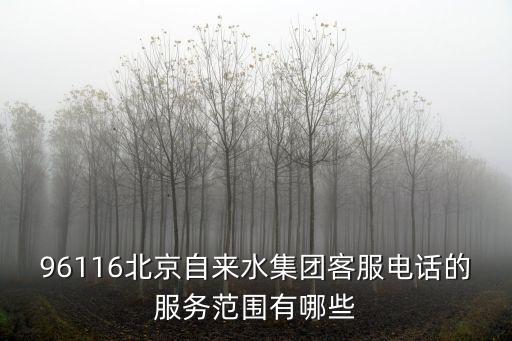 96116北京自來水集團(tuán)客服電話的服務(wù)范圍有哪些