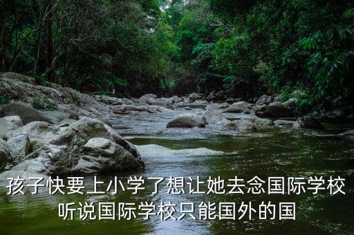 孩子快要上小學(xué)了想讓她去念國際學(xué)校聽說國際學(xué)校只能國外的國