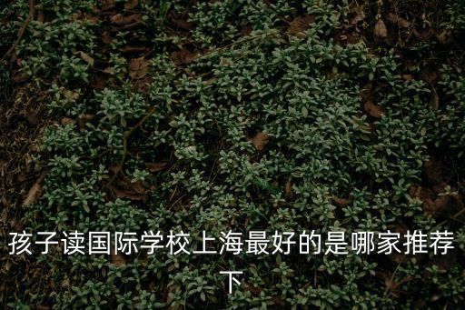 孩子讀國際學(xué)校上海最好的是哪家推薦下