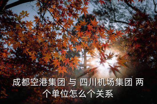 成都空港集團(tuán) 與 四川機(jī)場(chǎng)集團(tuán) 兩個(gè)單位怎么個(gè)關(guān)系