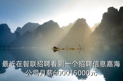 最近在智聯招聘看到一個招聘信息嘉海公司月薪600015000元